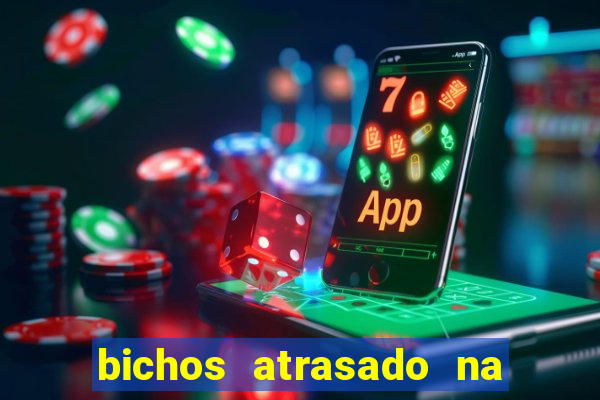 bichos atrasado na loteria dos sonhos